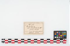 Foto von Eisendolchmesser (NHMW-PRAE-048357)